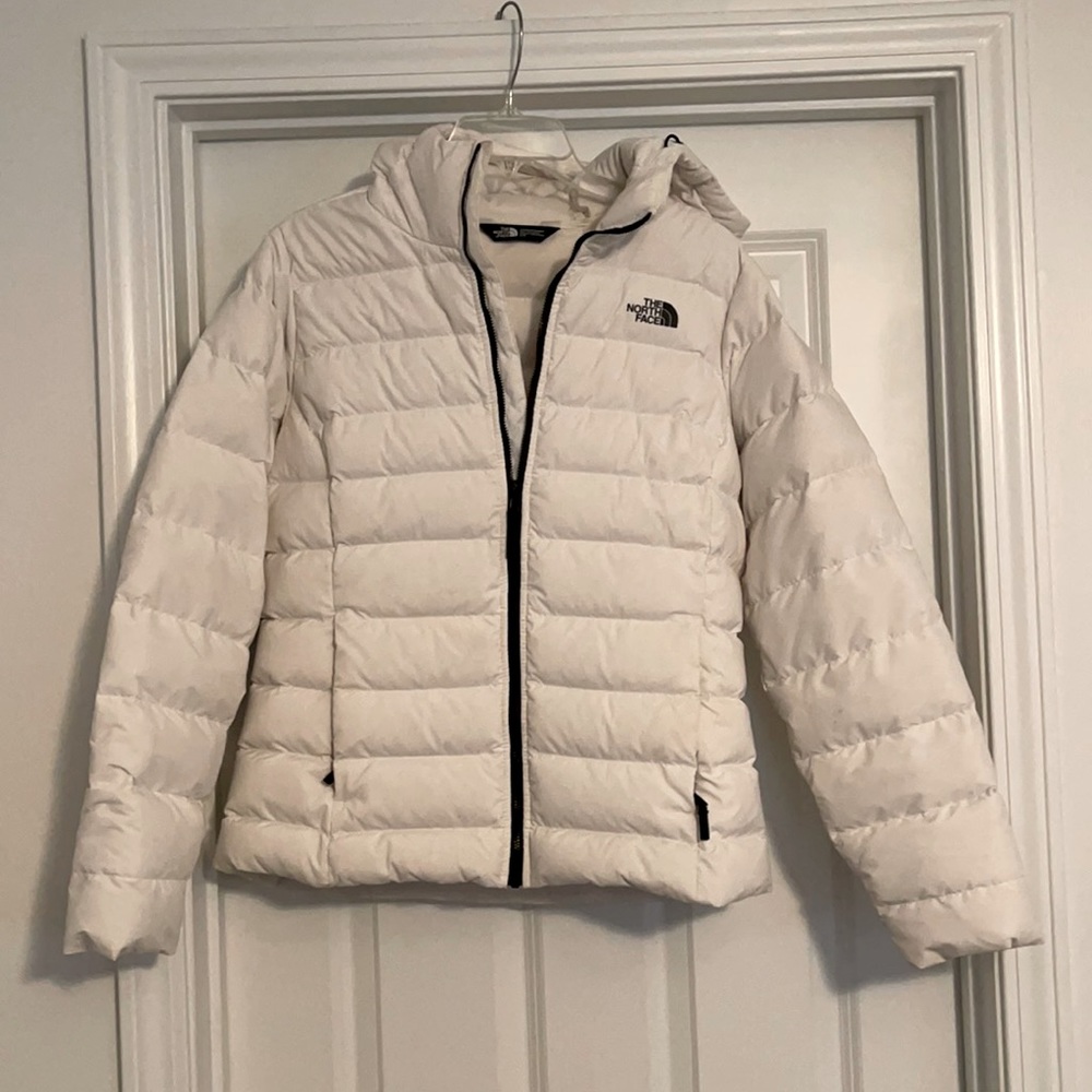 North Face Winter Jacket